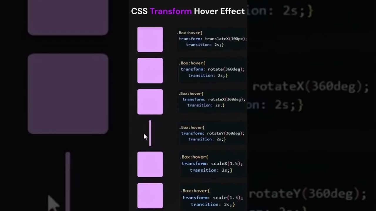 2025 Transform Hover Using Css