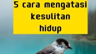 5 Tips mengatasi kesulitan...