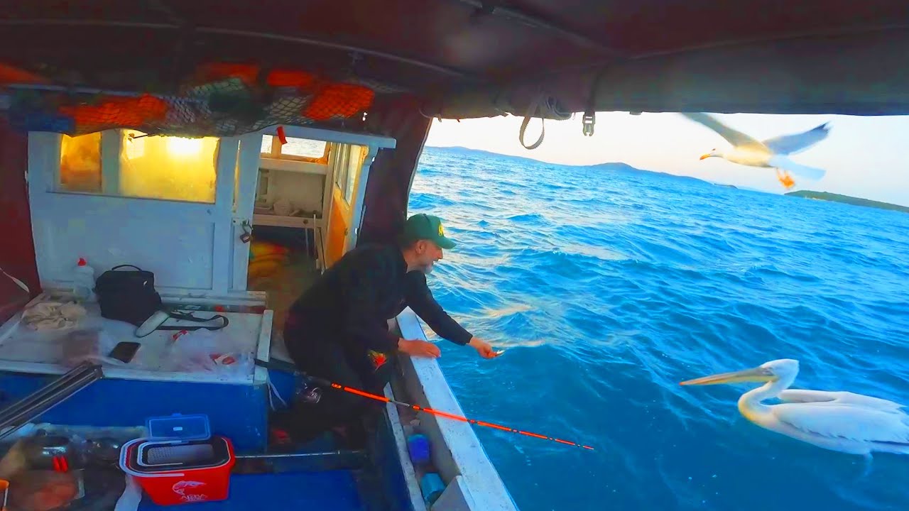 İzmir Urla'da Çupra ve Karagöz Avı! 🎣🐟