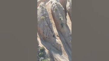 Lower Sycamore Creek - Widow Maker.