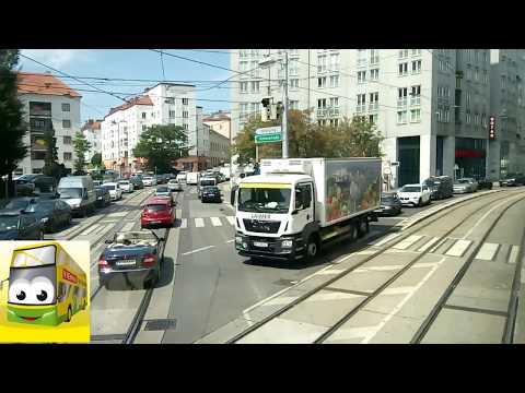 Viena GREEN LINE Grinzing. Вена экскурсия на автобусу. Вена и Дунай. Обзорная площадка Вена Австрия.