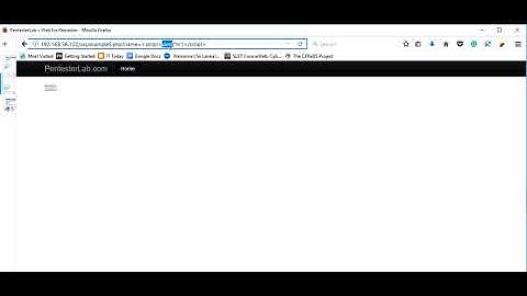 Web For Pentester - XSS Example 5