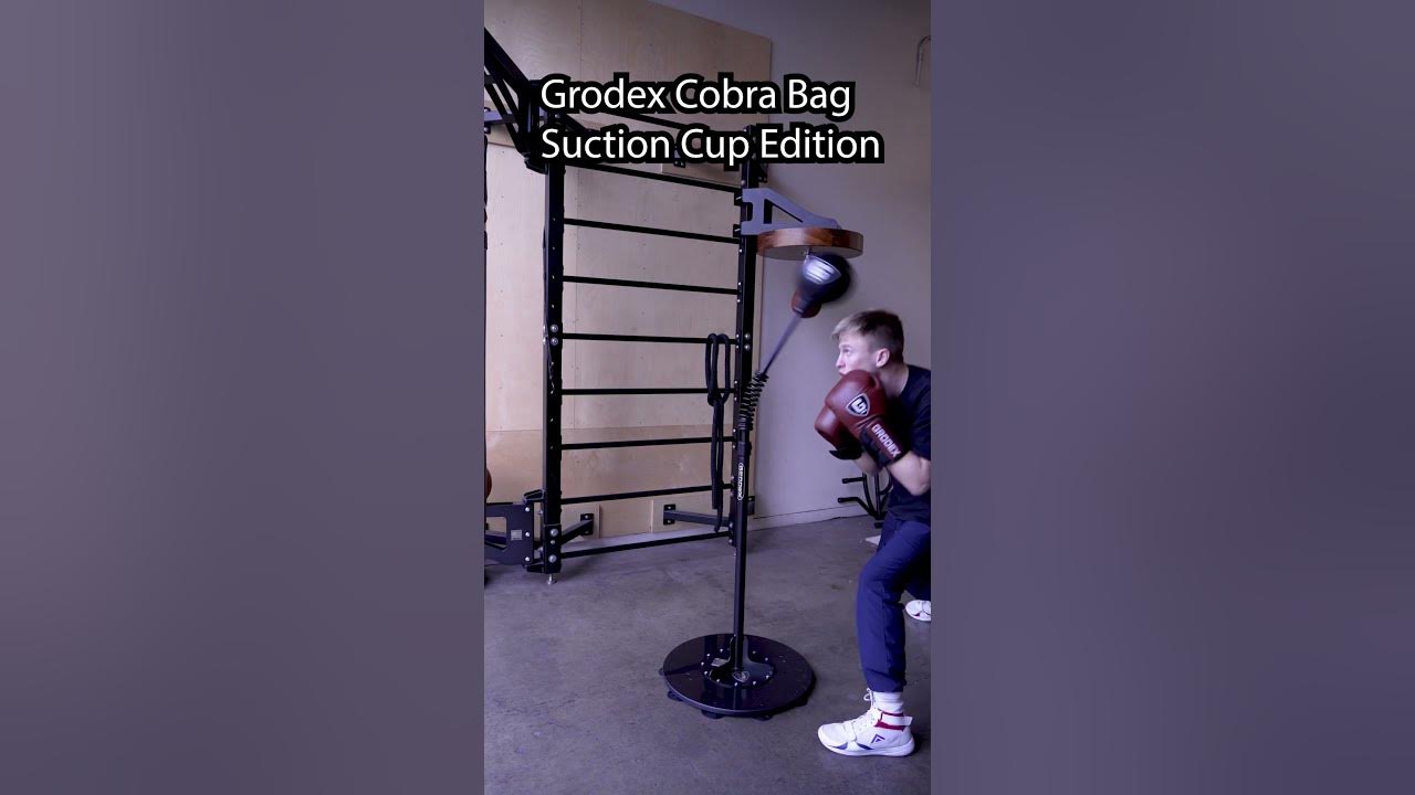 Grodex Suction Cup Cobra Punching Bag Visit Grodex.co to purchase YouTube