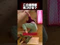 この違和感気づける⁉️