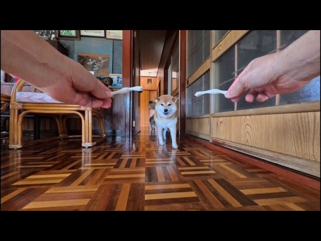 夢の向こう側からでも参上するおやつの時間