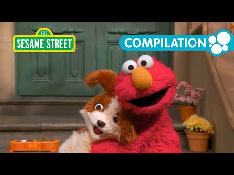 Sesame Street: 1+ Hour of Elmo and Puppy!