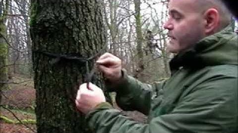 Whoopie slings modification to a DD Hammock