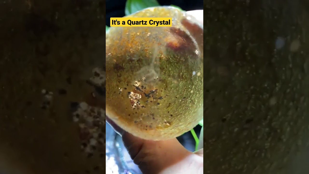 👀 From Potato to Treasure: The Jaw-Dropping Transformation of a Rock Collector's Latest Find!