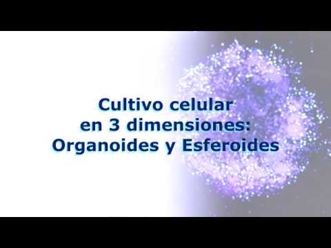 Video: ¿Cómo se hacen los esferoides?