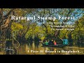 Ratargul - The swamp forest of Bangladesh 4k | রাতারগুল জলাবন | Sylhet Tourism | Travel Bangladesh.