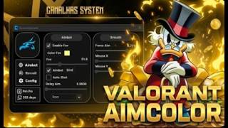 VALORANT AIMCOLOR [AIMBOT😮] INDETECTAVEL [canalhas system]