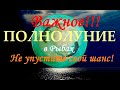 ВАЖНОЕ ПОЛНОЛУНИЕ В РЫБАХ 02.09 в 08:22 мск. Универсальный ритуал на исполнение желания.