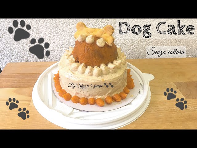 Torta per cani senza cottura- Dog cake without baking - Sfizi a 4