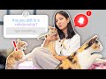 Answering Your Questions With Kittens! | Nina Stephanie