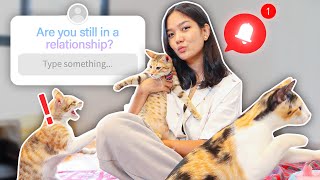 Answering Your Questions With Kittens! | Nina Stephanie