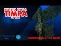 Relitto Della Timpa (ex Terni) - Riprese Esterne/Interne *Immersione a 40 Metri*