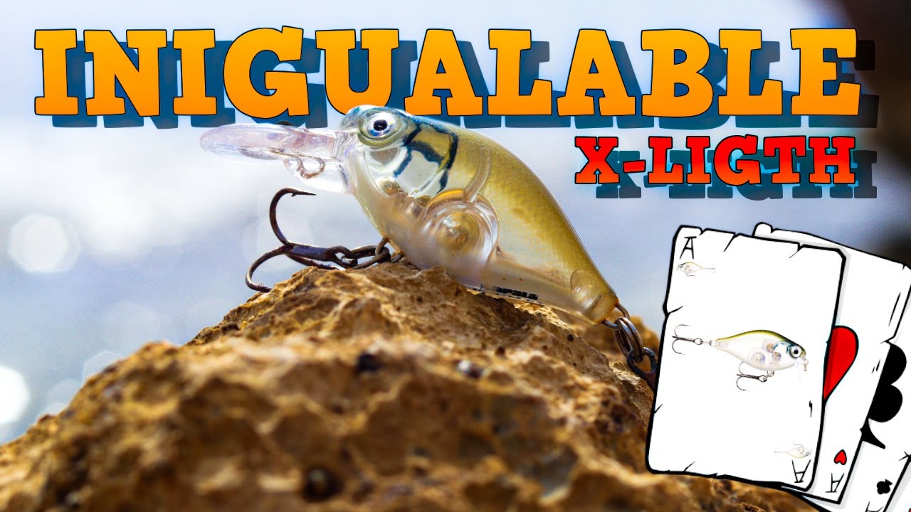 Este SEÑUELO es INIGUALABLE | LUBINAS a CRANKBAIT en Galicia (En AGUA DULCE y SALADA)