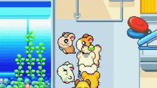 Lets Play Hamtaro Rainbow Rescue Part 41 - The Great Turtle Caper
