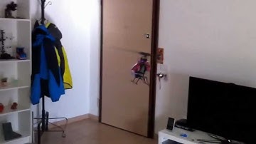 E-Flite Blade Mcp x Hover living room