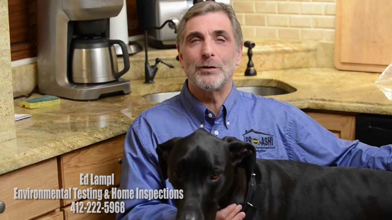 Mold Scam 101: Ed Lampl Throwing Your Money Away On A Bad Mold Inspector