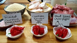 Carolina, Ghost, Scorpion Sausages. How To Make Sausages. #SRP #sausagemaking