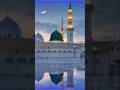 Mohammad nabina and niru #islamicstatus #love #shortfeed