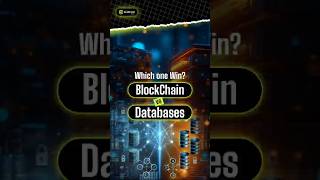 Blockchain vs. Traditional Databases: What’s the Difference | Quecko Studio