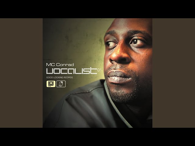 Words 2B Heard Meets Planetary Funk Alert (Original 12" Mix)