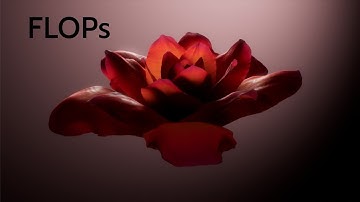 FLOPs: Houdini Flowers Simplified