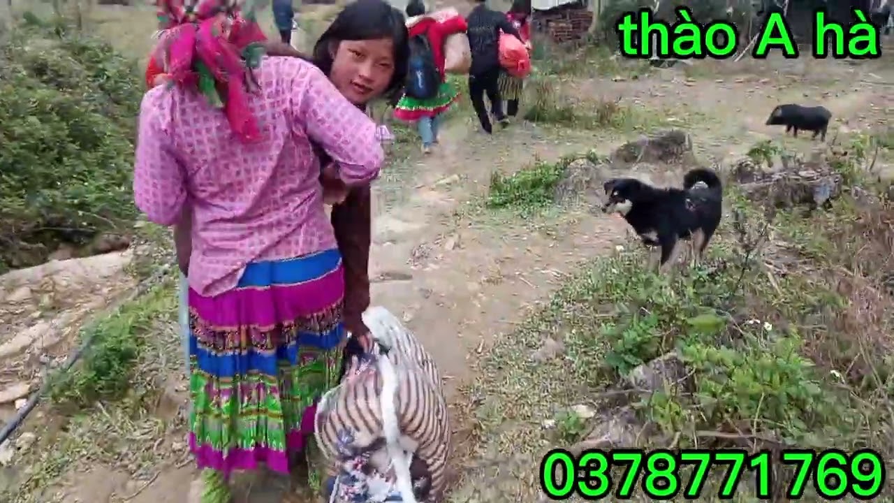 đi ăn cưới toàn món ngon uống hết mình thào A hà 