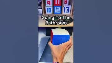 My Cat SCRAMBLED My 15x15 Rubik’s Cube 🤬🙀  #shorts