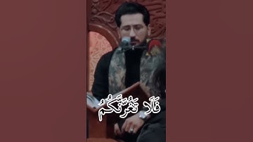 القارئ محمد نزار الربيعي.