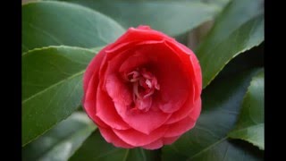 Abraham Hicks - Feeling Bad When Waking Up In The Morning