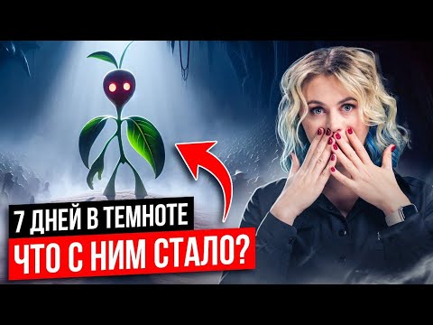 22 и 23 задание ЕГЭ по БИОЛОГИИ на максимальный балл! | ЭКСПЕРИМЕНТ С РАСТЕНИЕМ | Ксения Напольская