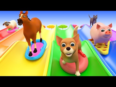 Animals for Kids and Toddlers SLIDDING INTO THE WATER, Funny Animals Videos for Kids and Songs