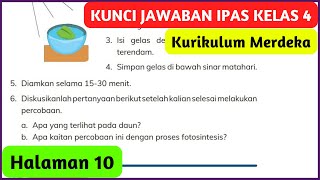 Kunci Jawaban IPAS Kelas 4 Halaman 10 Kurikulum Merdeka Apa yang Terlihat Pada Daun