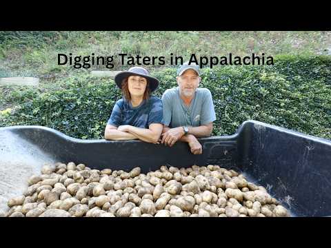 Matt Got Monkey-ed || Finally Digging Our Potatoes