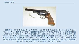 S&W M53