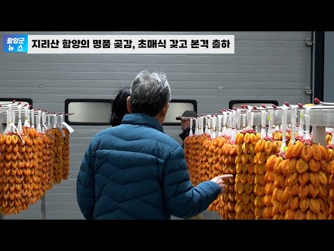 지리산 함양 곶감 경매 초매식