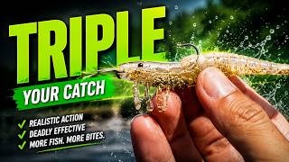 You Will Triple Your Catch Rate with This PROVEN Lure!
You Will Triple Your Catch Rate with This PROVEN Lure! | DOA Shrimp Rigging Tutorial
Want to catch more fish every trip? In this video, I break down one of the most effective artificial lures ever made for saltwater fishing—the DOA Shrimp. You’ll learn step-by-step how to properly rig it, fish it, and maximize your hookup ratio. Whether you’re targeting snook, redfish, trout, or flounder, this lure flat out produces when nothing else will!
What you’ll learn in this video:
Why the DOA Shrimp is a must-have in every tackle box
Pro rigging tips to make it look and swim naturally
Retrieval techniques that trigger more strikes
How to use it effectively on flats, mangroves, and passes
If you’re serious about upping your inshore fishing game, this is one lure you can’t afford to ignore. Rig it right, fish it with confidence, and you’ll quickly see why anglers swear by it.
👉 Drop a comment below with your favorite way to rig a DOA Shrimp—I’d love to hear your tips and tricks!
V I D E O S T O W A T C H N E X T :
The secret Bait that catches everything https://youtu.be/pS84pMPBrQY?si=xQJDpeud9t5ZgcK8
Blindfolded Fish Taste Test: https://youtu.be/6D_YVvTyfeE?si=fkq6fxHMvyfZthjg
Watch How to Use a Popping Cork: https://youtu.be/13ZOxU8MopE?si=XXF3OEV5jD6t0Isg
📌 Chapters:
0:00 – Introduction
0:30 – DOA Shrimp intro
1:00 – Why is the DOA so effective?
1:20 – How Shrimp Move
1:50 – Underwater DOA Demonstration
2:30 – Where it works
2:50 – What gear to use for success
4:57 – How to rig a DOA Shrimp
Personal IG: https://www.instagram.com/capt_joshua_taylor https://www.instagram.com/saltyscales/
Send Fan Mail Here→ Joshua Taylor P.O. Box 2062, Ruskin FL 33575
Get your Okuma gear here: Okuma Fishing Tackle →
https://okumafishingusa.com
▬▬▬▬▬▬▬ SUBSCRIBE ▬▬▬▬▬▬▬
NEW FISHING VIDEOS EVERY SUNDAY!
▬▬▬▬▬▬▬ WEBSITE ▬▬▬▬▬▬▬
Official Website → https://saltyscales.com
▬▬▬▬▬▬▬ STAY CONNECTED ▬▬▬▬▬▬▬
Tik Tok →https://www.tiktok.com/@saltyscales Twitter → https://twitter.com/saltyscales Instagram → https://www.instagram.com/saltyscales... FaceBook → https://www.facebook.com/SaltyScales/... Google+ → https://plus.google.com/+Saltyscales/.... **
Use & search hashtag: #SALTYSCALES **
▬▬▬▬▬▬▬ SUPPORT OUR SPONSORS ▬▬▬▬▬▬▬
• Okuma Fishing Tackle → https://glnk.io/x9m4p/joshua-taylor
• Seakeeper →https://ride.seakeeper.com/
• Dakota Lithium →https://dakotalithium.com/dl5/SaltyScales
• Power Pole → http://www.power-pole.com/
• Aqua Auto → https://www.aquaautofl.com/
• Down South Lures → http://downsouthlures.com/
• FishLab → https://fishlabtackle.com/
• Costa Del Mar → https://www.costadelmar.com/
• RoadShop Marine →https://www.facebook.com/RoadshopMarineInstallations/
Inquiries: joshua@saltyscales.com
#fishing #fishinghowto #tampabayfishing #saltyscales #saltwaterfishing
#fishingtips #fishingvideos You Will Triple Your Catch Rate with This PROVEN Lure!