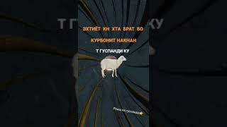 иди курбон #2023 😄#cat #comedy #funny #catlover #лайк #подпишись #приколы #roblox