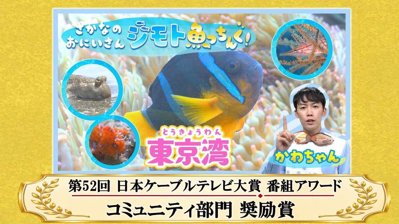 コミュニティ部門 奨励賞】「さかなのおにいさん ジモト魚っちんぐ