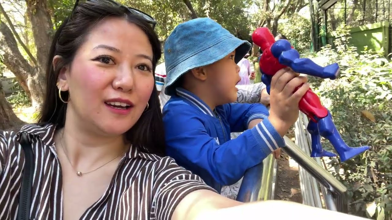 Семейный отдых: зоопарк 🦒🐾 + катание на лодках 🚤 / Королева лудо 👑 #tibetanvlogger #bannerghattab...