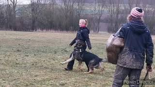 Training Mit Marek Urban