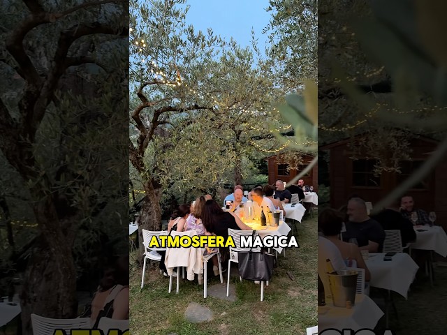 AGRICENA SOTTO GLI ULIVI CON MUSICA LIVE 🎷🍹 A LAVAGNA (GE) #liguria #perte #food #agriturismo
