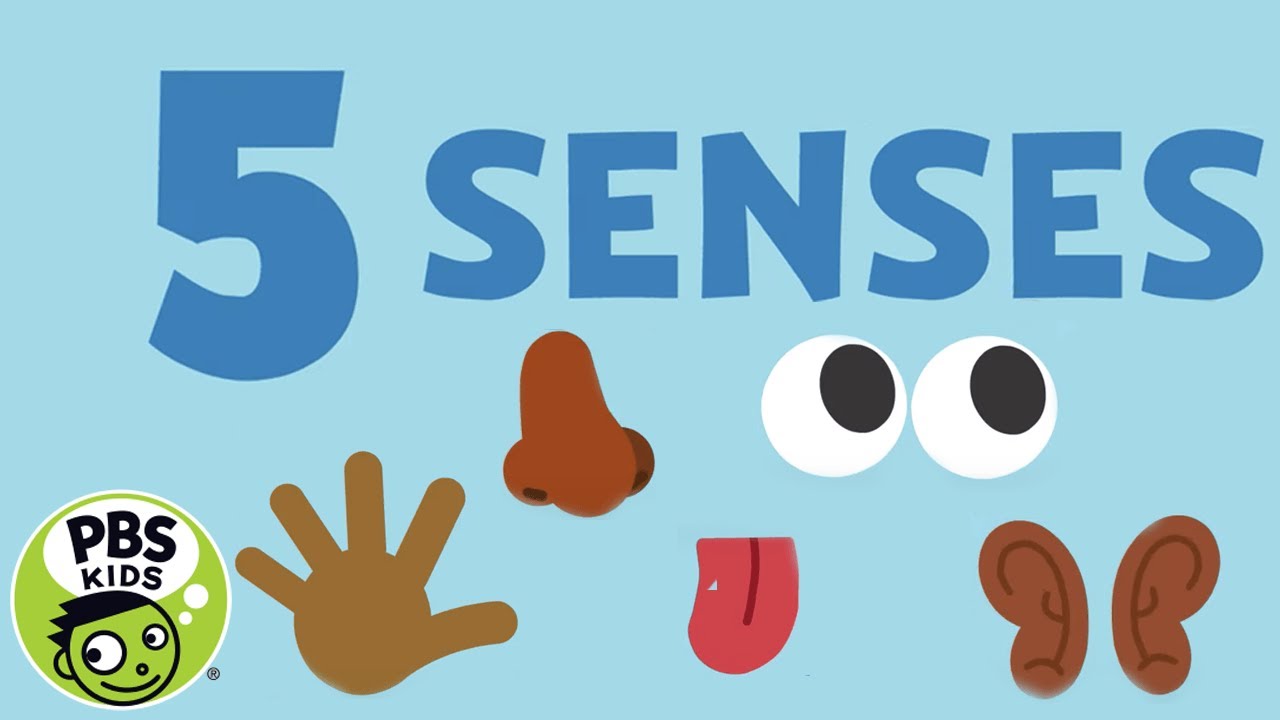 music-5-senses-pbs-kids-youtube