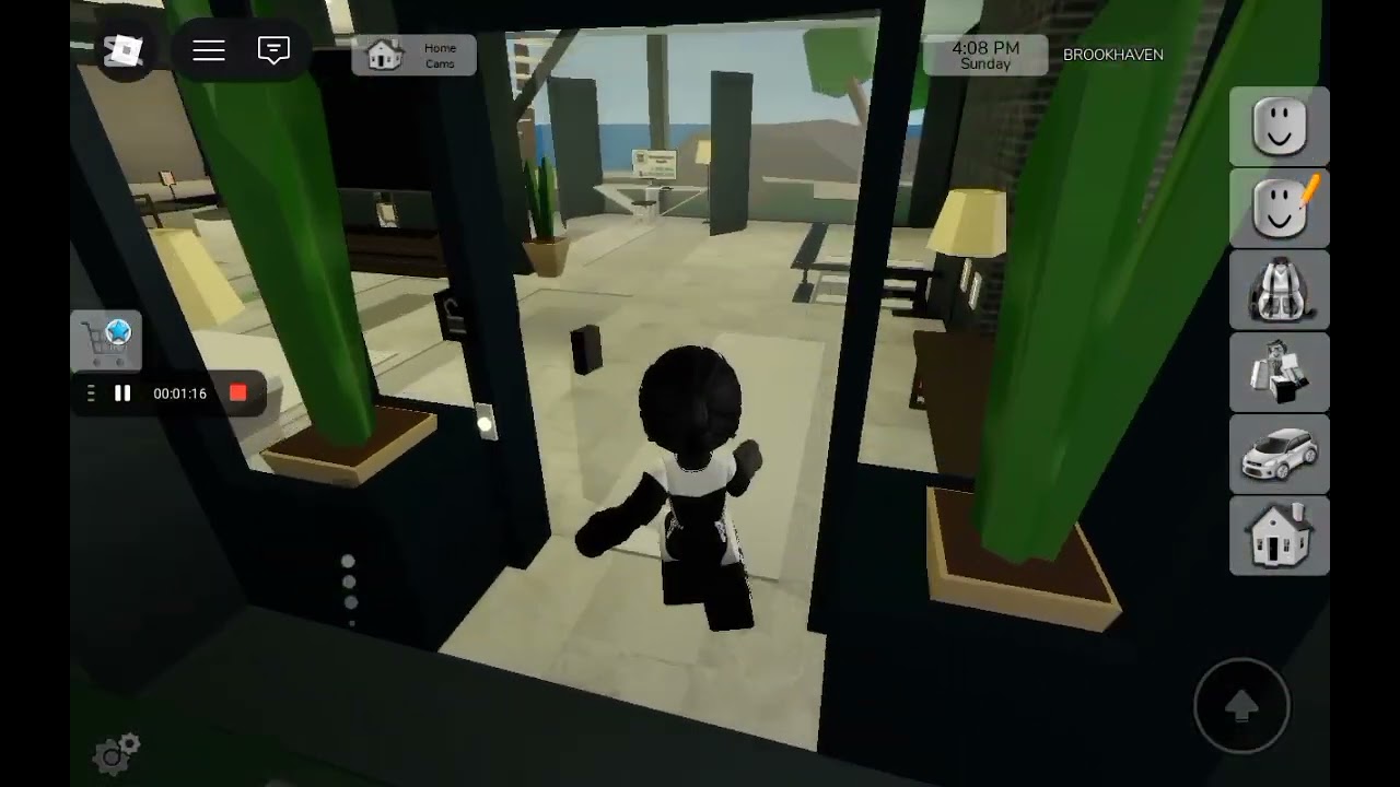 Playing Brookhaven normally 