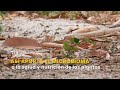 Así aporta el microbioma a la salud y nutrición de las plantas- TvAgro por Juan Gonzalo Angel