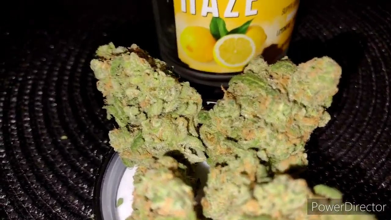 New Pot Shop 150$ Weed Haul 