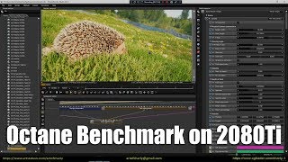 Nvidia RTX 2080Ti perfomance test in Octane render 4.0, 2018, 2019.